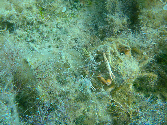 OLYMPUS DIGITAL CAMERA OLYMPUS DIGITAL CAMERA