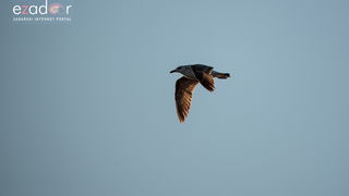 Nedjeljno svitanje na Vranskom jezeru Nedjeljno svitanje na Vranskom jezeru