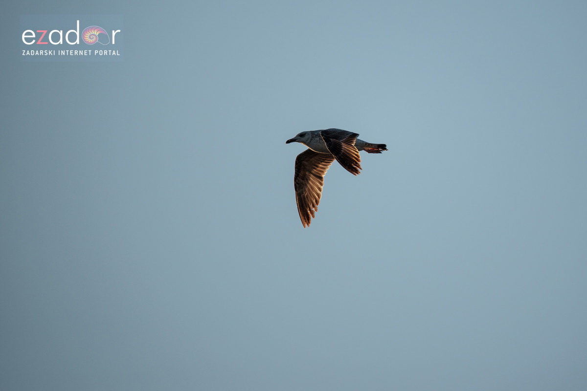 Nedjeljno svitanje na Vranskom jezeru Nedjeljno svitanje na Vranskom jezeru