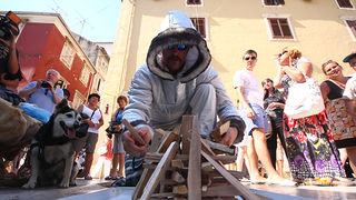 Performance Enia Meštrovića (foto:Saša Čuka)