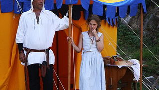 Zvonimirovi dani, Knin 28. i 29. lipnja 2008.