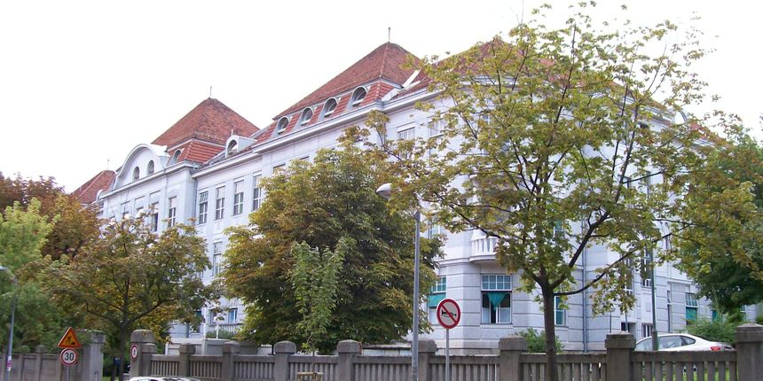 Petrova bolnica(Foto:upload.wikimedia.org)