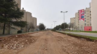 Na Bulevaru posječena stabla lipe stara 40 godina