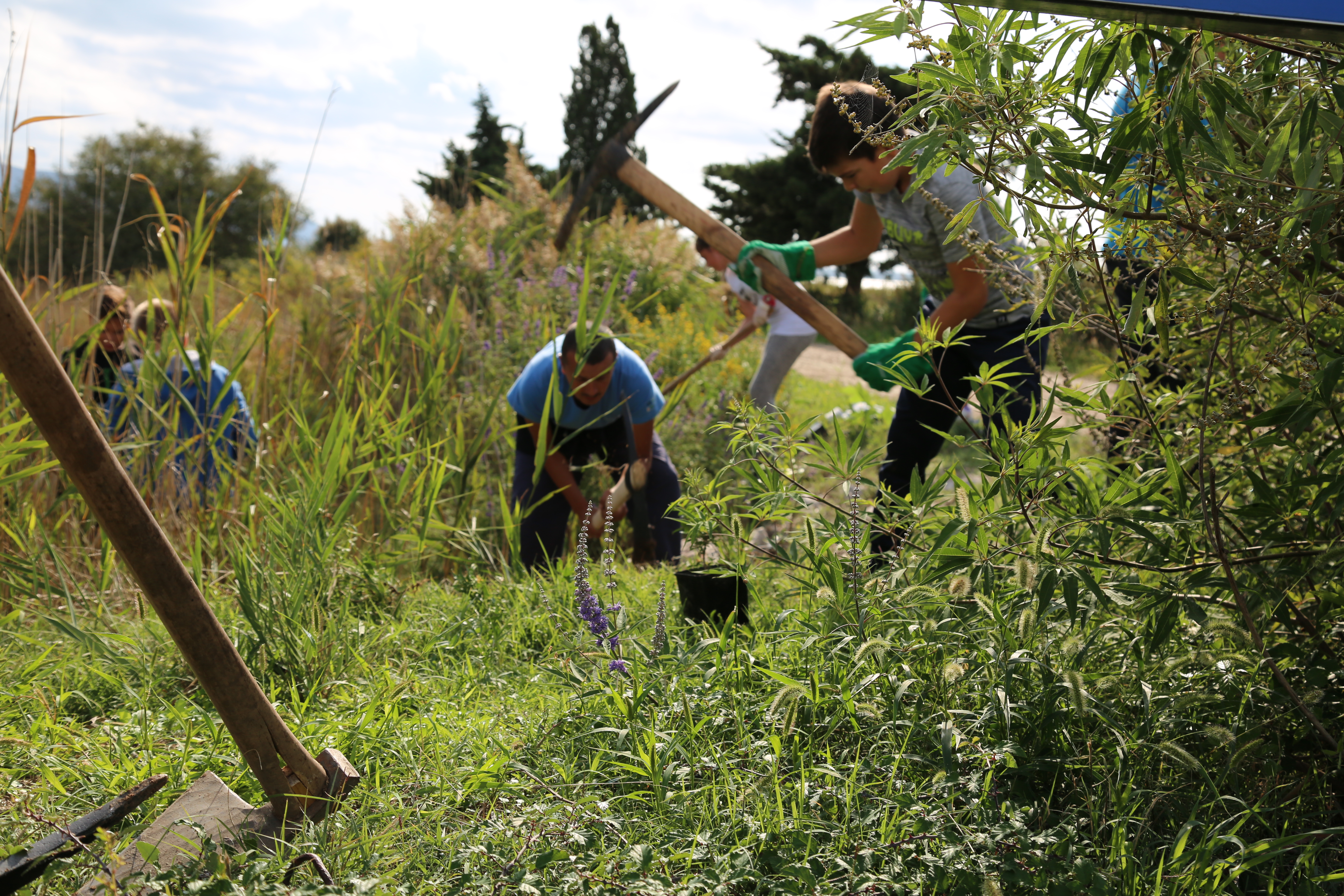 Obilježen Dan Parka prirode Vransko jezero Obilježen Dan Parka prirode Vransko jezero