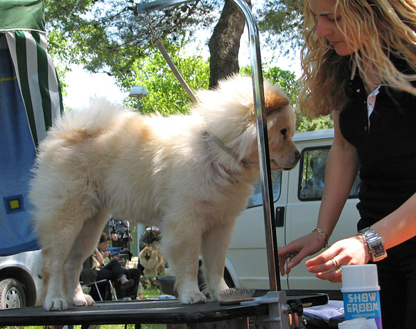 Image 1171083 (auto)