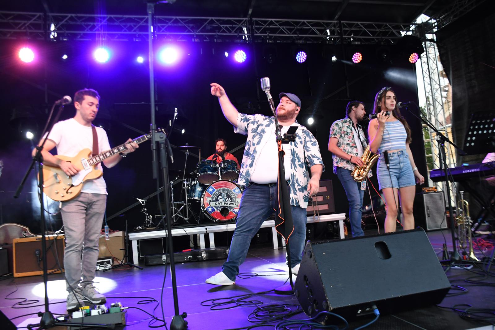 Daruvar: Two Days Rockabilly Plays festival