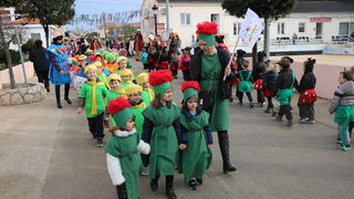 Virski karnevalić 2016. Virski karnevalić 2016.