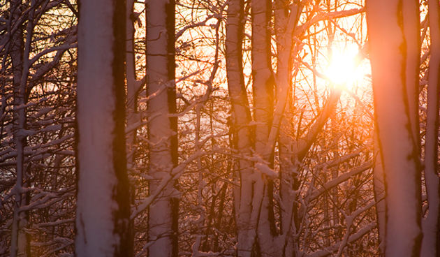 Snijeg na Sljemenu 27. studenog (foto:Saša Čuka)