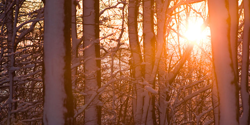 Snijeg na Sljemenu 27. studenog (foto:Saša Čuka) Snijeg na Sljemenu 27. studenog (foto:Saša Čuka)