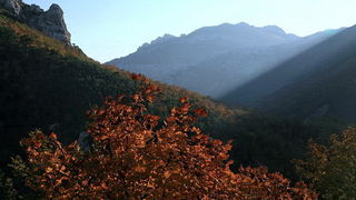 Paklenica: Boje jeseni, Foto: Mladen Radolovic Mrlja