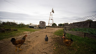 Farma “Dar-mar” (foto:Saša Čuka)