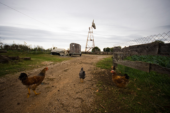 Farma “Dar-mar” (foto:Saša Čuka)