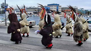 Karnevalska povorka 2012, Foto: Leonard Kvarantan Karnevalska povorka 2012, Foto: Leonard Kvarantan