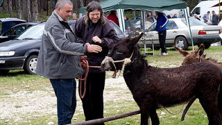 Benkovački sajam 10. travnja 2013, Foto: Leo Banić