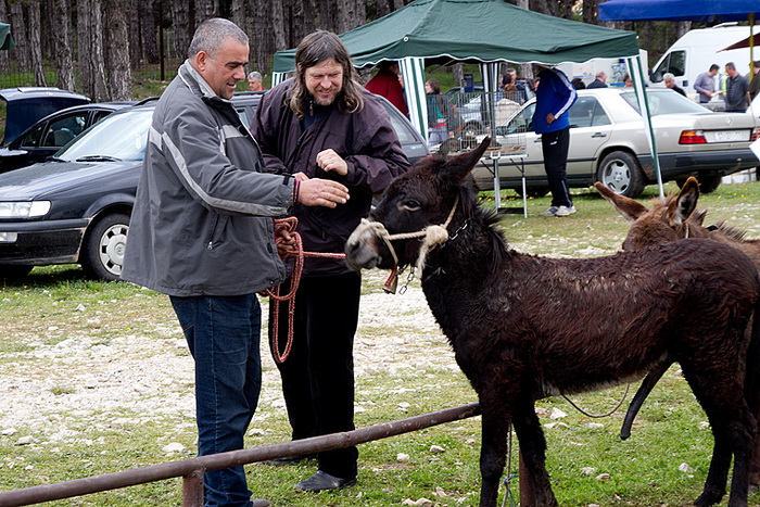 Benkovački sajam 10. travnja 2013, Foto: Leo Banić