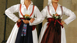 Image 1176179 (auto)