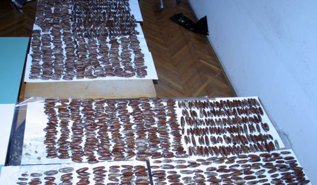 Zaplijenjeni prstaci