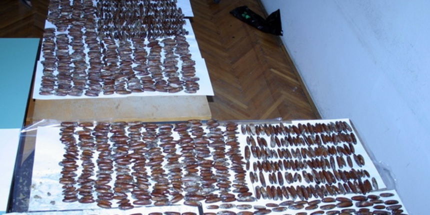 Zaplijenjeni prstaci Zaplijenjeni prstaci