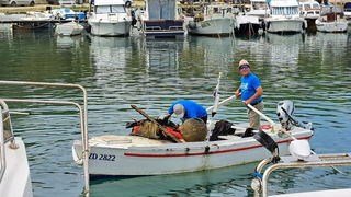 Eko akcija “Učinimo Privlaku privlačnijom”