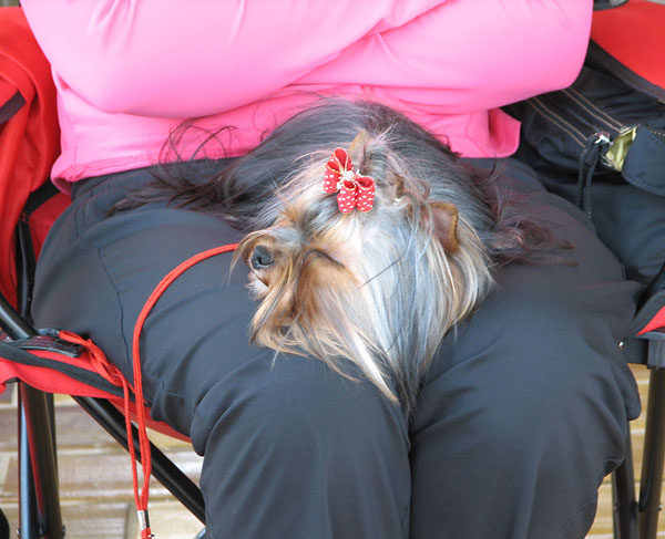 Image 1171063 (auto)