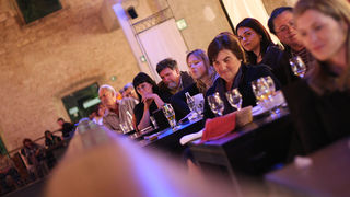 Humanitarni koncert  “Trideseta mi je” (Foto:Saša Čuka)