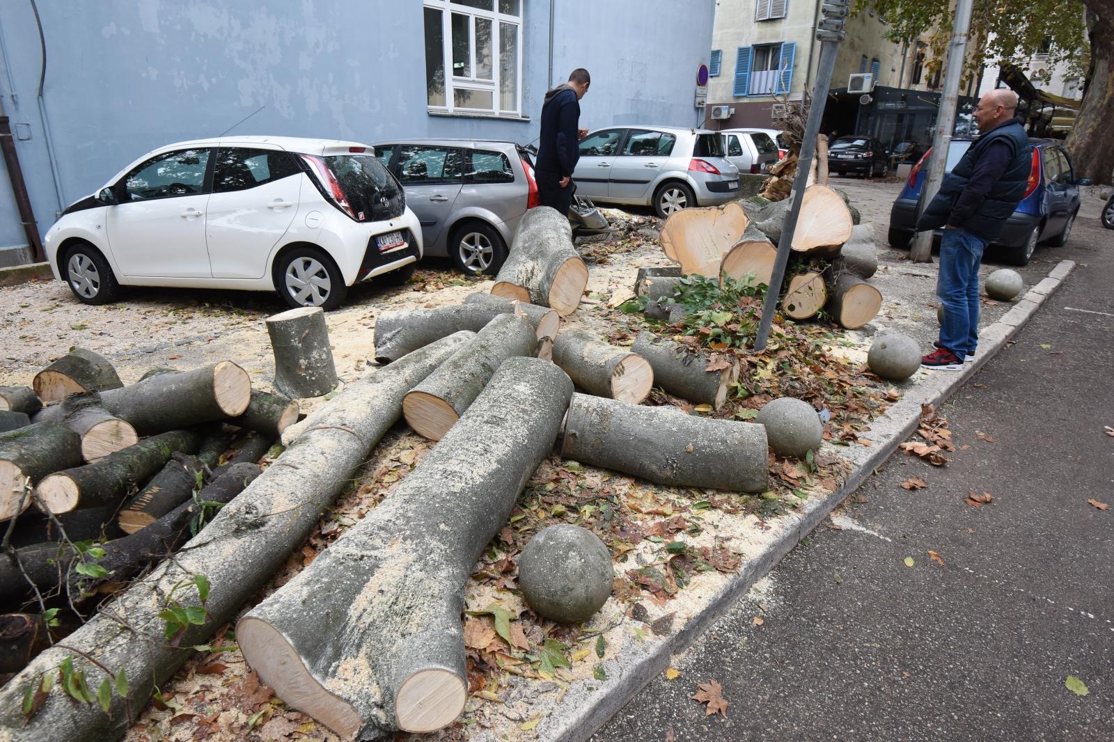Zadar: Jak vjetar srušio stablo na parkirane automobile