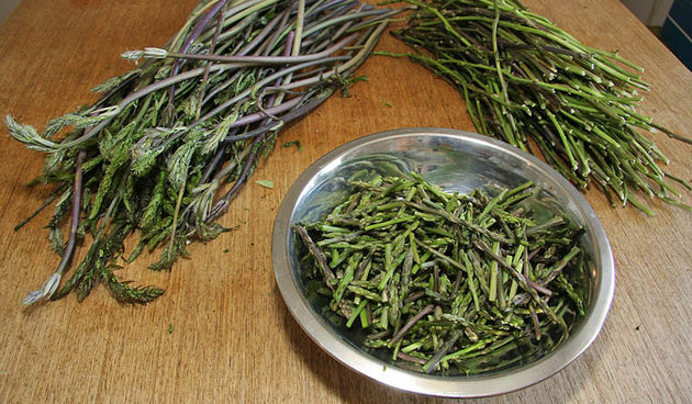 Sparoge – Prevara vreba na i na zadarskoj pijaci