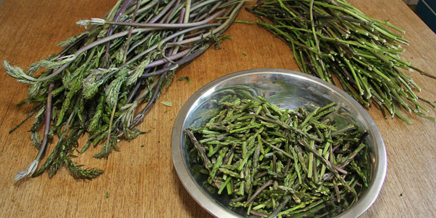 Sparoge – Prevara vreba na i na zadarskoj pijaci Sparoge – Prevara vreba na i na zadarskoj pijaci