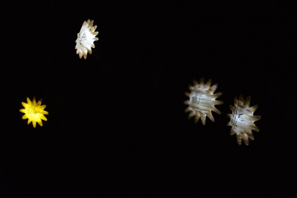 7. Noć kazališta u Zadru. Foto: Iva Perinčić 7. Noć kazališta u Zadru. Foto: Iva Perinčić