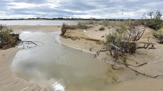 Čuvena ninska plaža Ždrijac teško stradala u poplavi