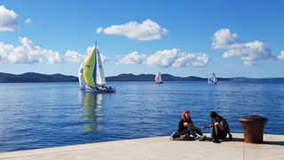 Zadarska Koka 2016. 22. listopada 2016. Foto: Mladen Malik Zadarska Koka 2016. 22. listopada 2016. Foto: Mladen Malik
