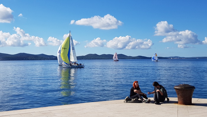 Zadarska Koka 2016. 22. listopada 2016. Foto: Mladen Malik Zadarska Koka 2016. 22. listopada 2016. Foto: Mladen Malik