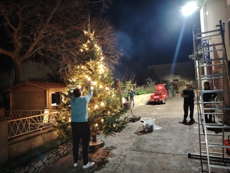 bozicne jelke bozicna drvca jelka drvce na otocima blagdani zadarski otoci bozicne jelke bozicna drvca jelka drvce na otocima blagdani zadarski otoci