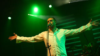 Dražen Zečić na Višnjiku, 12. studenoga 2009.