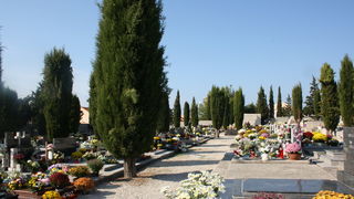 Blagdan Svih Svetih na groblju Belafuža 1. studenog 2011, Foto: Mladen Malik Blagdan Svih Svetih na groblju Belafuža 1. studenog 2011, Foto: Mladen Malik