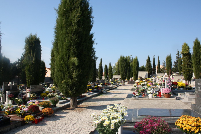 Blagdan Svih Svetih na groblju Belafuža 1. studenog 2011, Foto: Mladen Malik Blagdan Svih Svetih na groblju Belafuža 1. studenog 2011, Foto: Mladen Malik