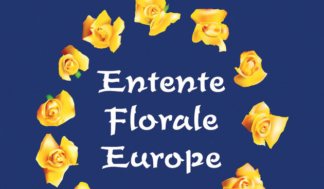 Zlatni cvijet Europe (Foto:www.novi-vinodolski.hr)