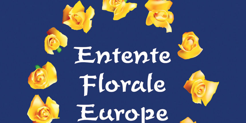 Zlatni cvijet Europe (Foto:www.novi-vinodolski.hr)