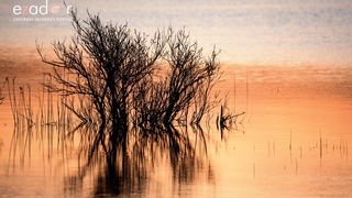 Nedjeljno svitanje na Vranskom jezeru Nedjeljno svitanje na Vranskom jezeru