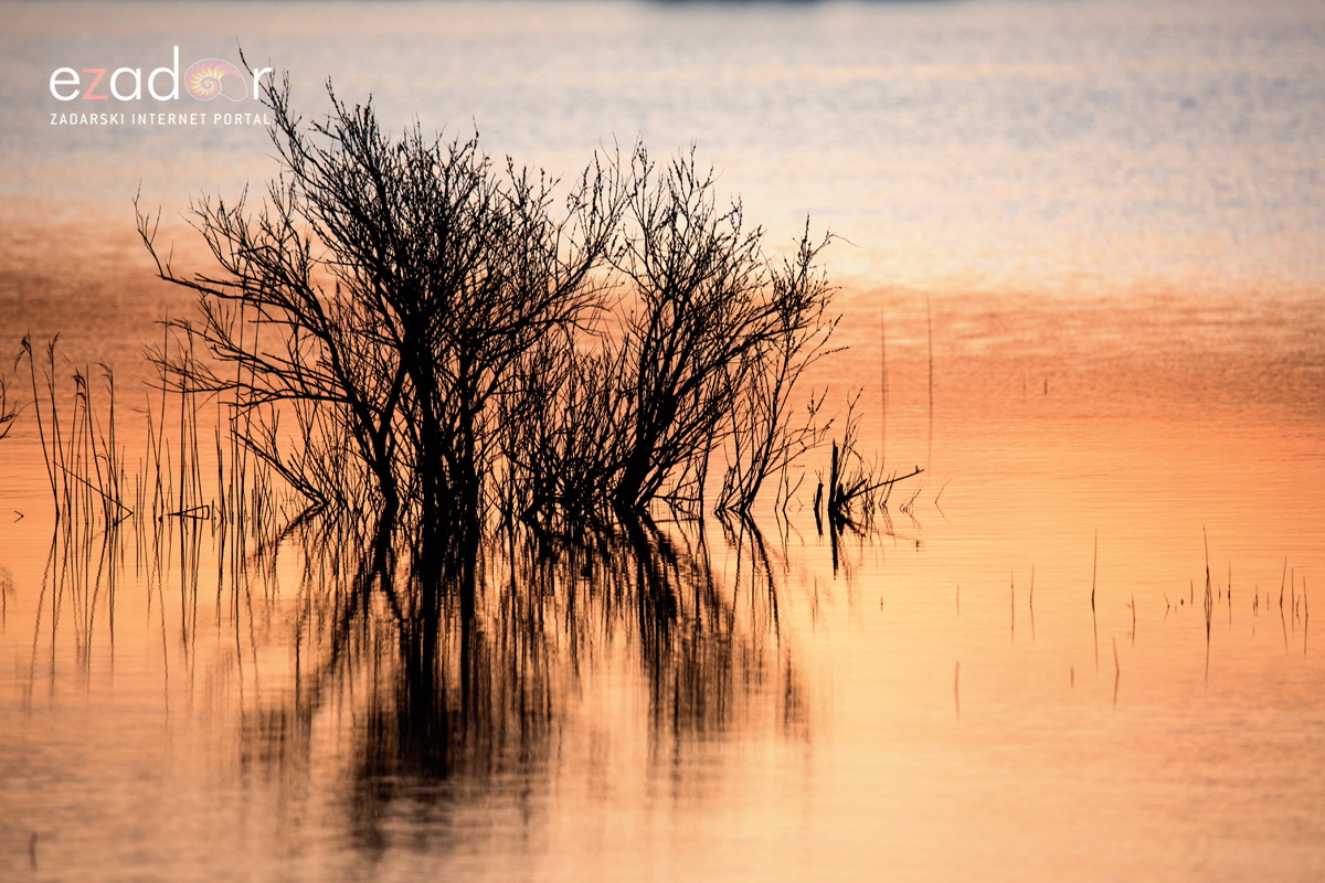 Nedjeljno svitanje na Vranskom jezeru Nedjeljno svitanje na Vranskom jezeru