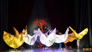 Circo Art u HNK Zadar izveo predstavu “Povratak u prirodu”