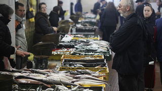 Đir po pešakariji 24. veljače 2012, Foto. Saša Čuka Đir po pešakariji 24. veljače 2012, Foto. Saša Čuka