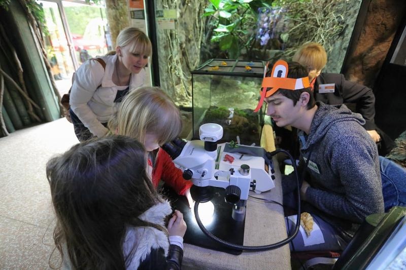 U Zooloskom vrtu u Zagrebu obiljezen Zablji dan u sklopu kojeg su se odrzavale razne radionice, a zainteresirani posjetitelji mogli su i dirati zabe. Photo: Tomislav Miletic/PIXSELL