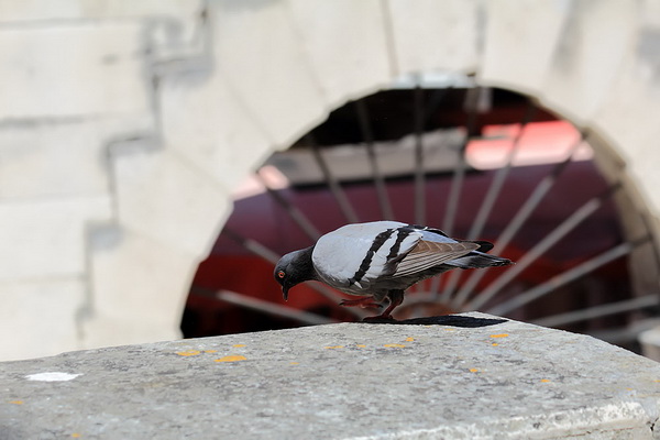 Subotnja skitnja gradom 18. svibnja 2013, Foto: Roberto Lerga Subotnja skitnja gradom 18. svibnja 2013, Foto: Roberto Lerga