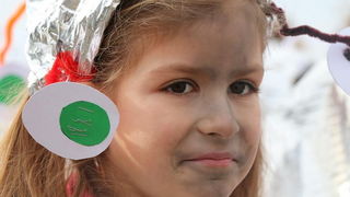 Virski karnevalić 2016. Virski karnevalić 2016.