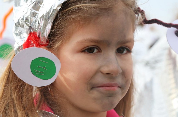 Virski karnevalić 2016. Virski karnevalić 2016.