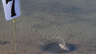1. Memorijalni turnir u sportskom ribolovu “Darijo Čurković”, Foto: Leo Banić