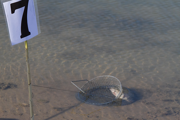 1. Memorijalni turnir u sportskom ribolovu “Darijo Čurković”, Foto: Leo Banić