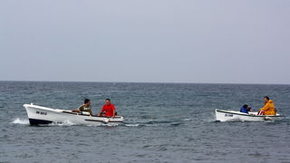 ORC kup Hrvatske: Zadarki kup 2010., Foto. Mladen Malik