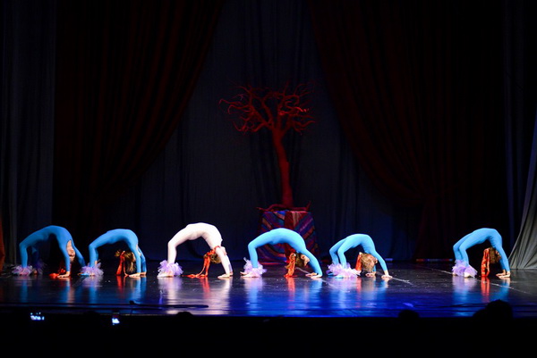 Circo Art u HNK Zadar izveo predstavu “Povratak u prirodu”